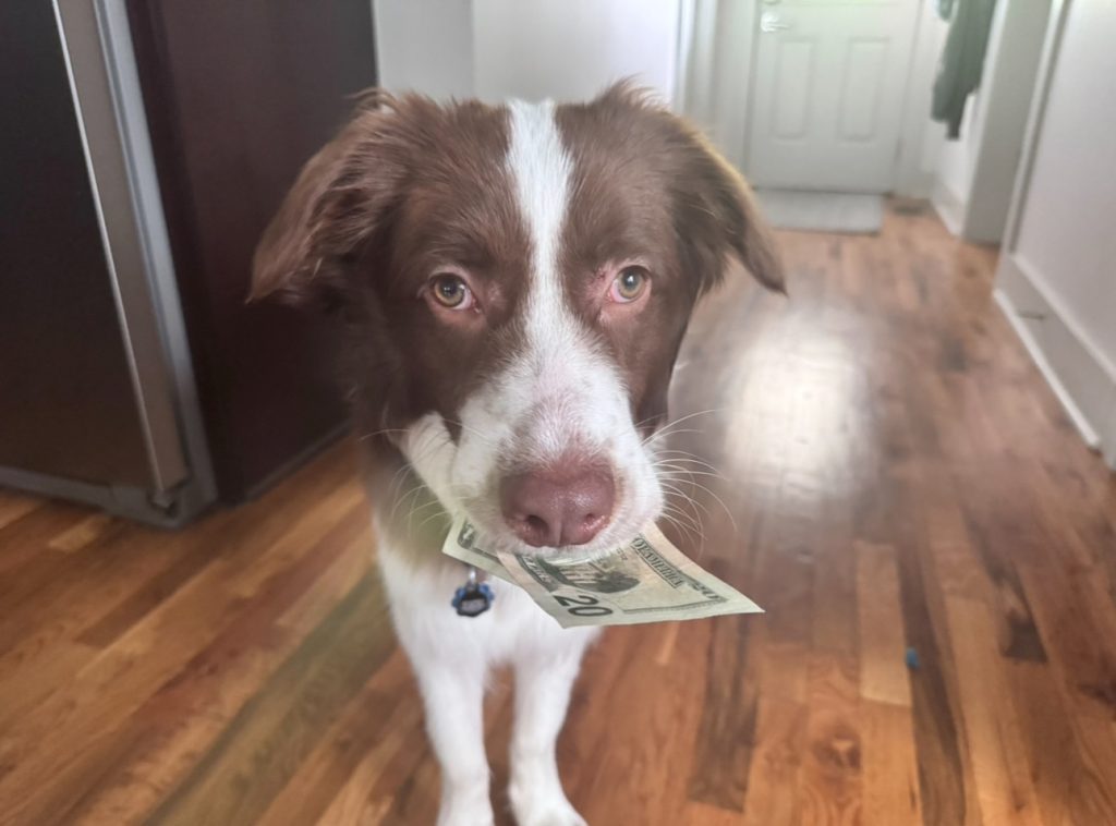 Buddy, CEO/CFO of Paddle Dog Music